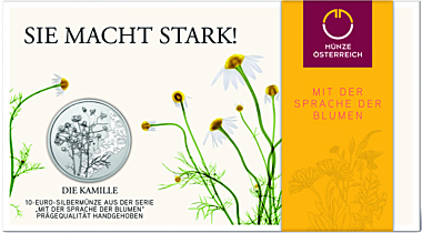 The Chamomile