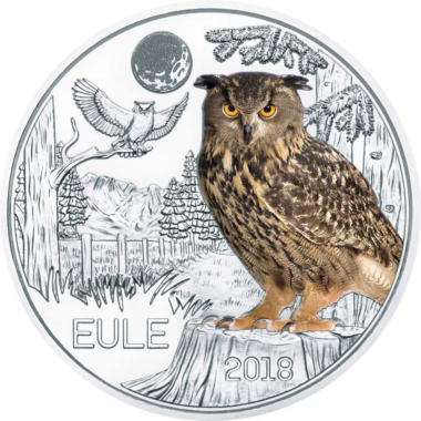 The Owl